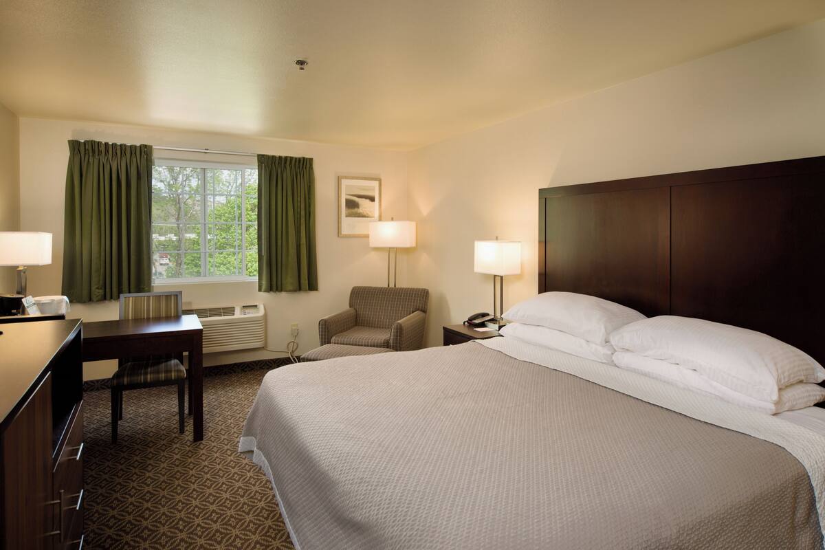 A hotel room with a large bed, a desk, a chair, two bedside lamps, a window with curtains, and a framed picture on the wall.
