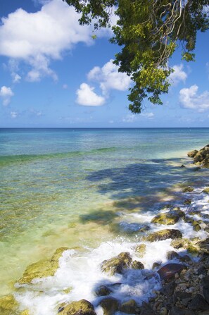 On the beach, sun loungers, beach towels - Divi Heritage Beach Resort - Adults Only (Holetown)