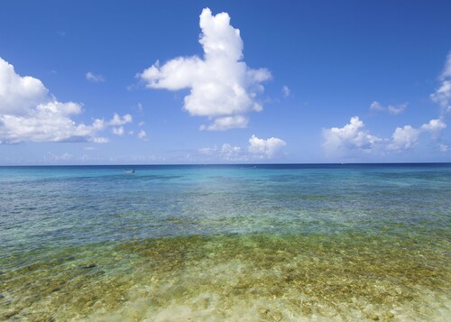 Divi Heritage Beach Resort - Adults Only