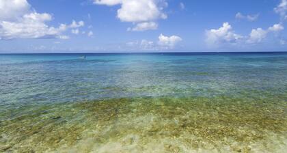 Divi Heritage Beach Resort - Adults Only