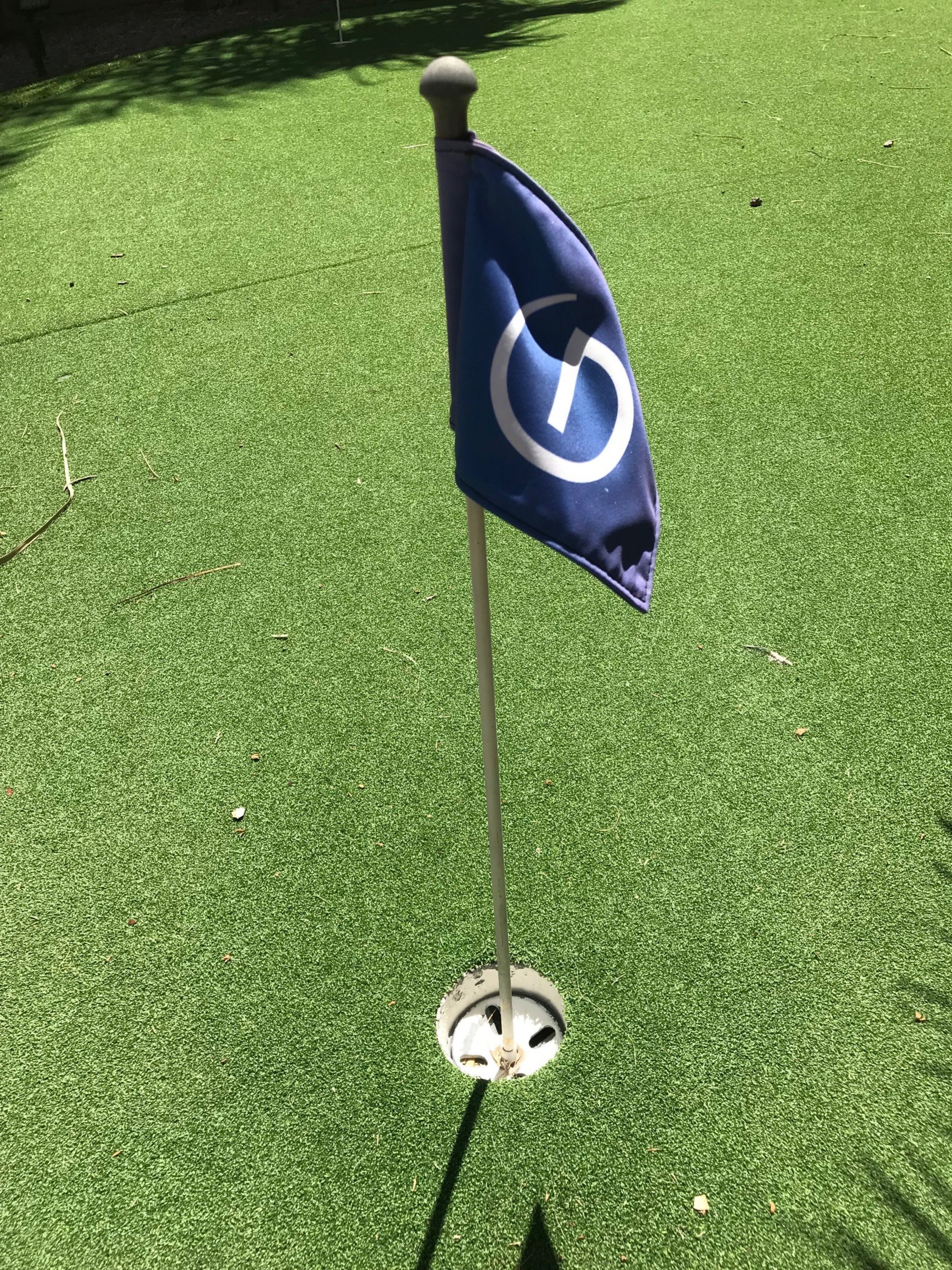 Una bandera sobre una superficie verde.