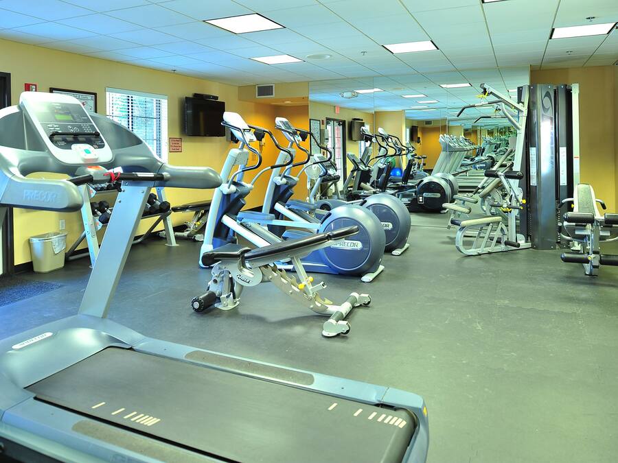 A gym with treadmills, elliptical machines, and weight equipment.
