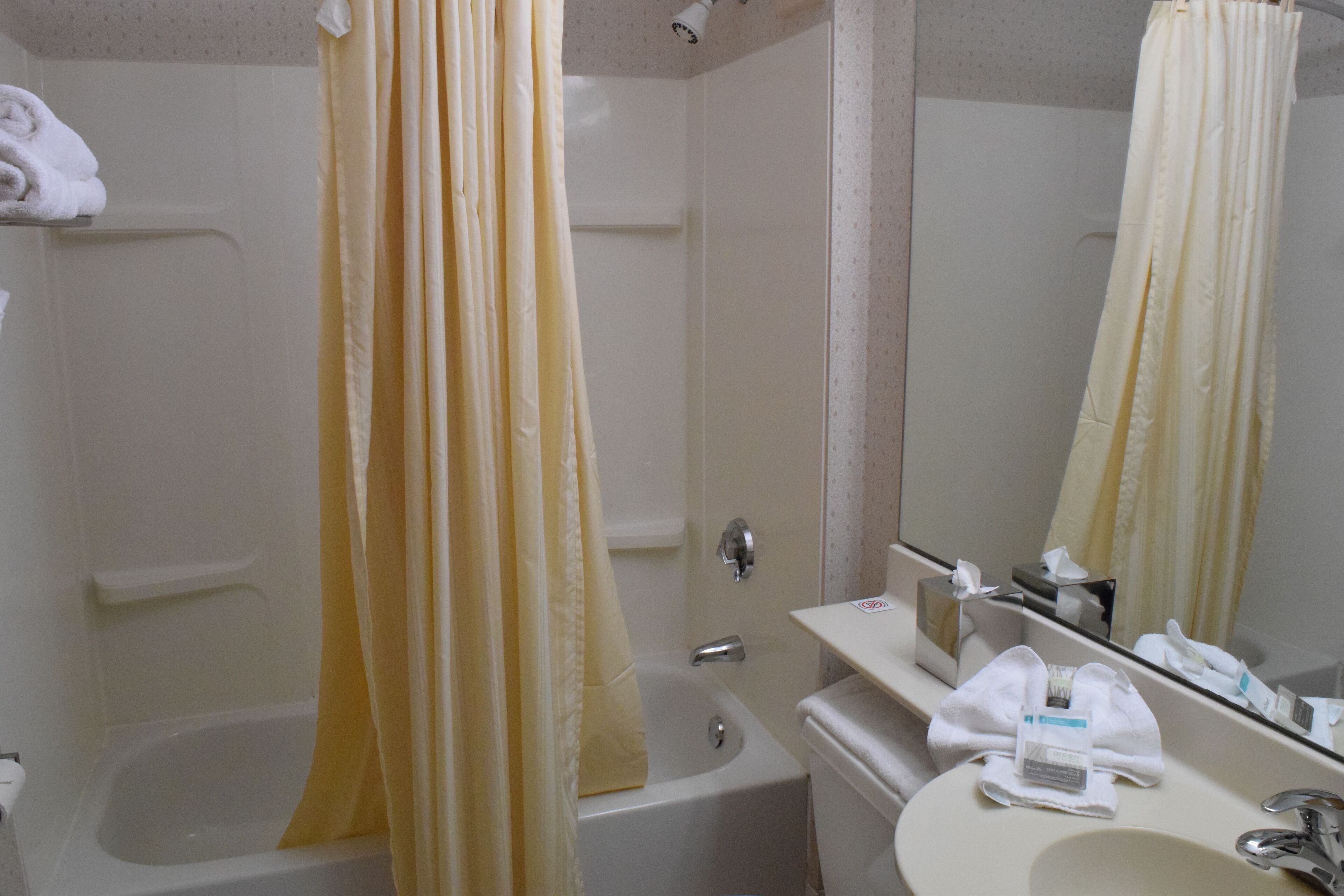 basic room, 1 queen bed | bathroom | combined shower/bathtub, free toiletries, hair dryer, towels
