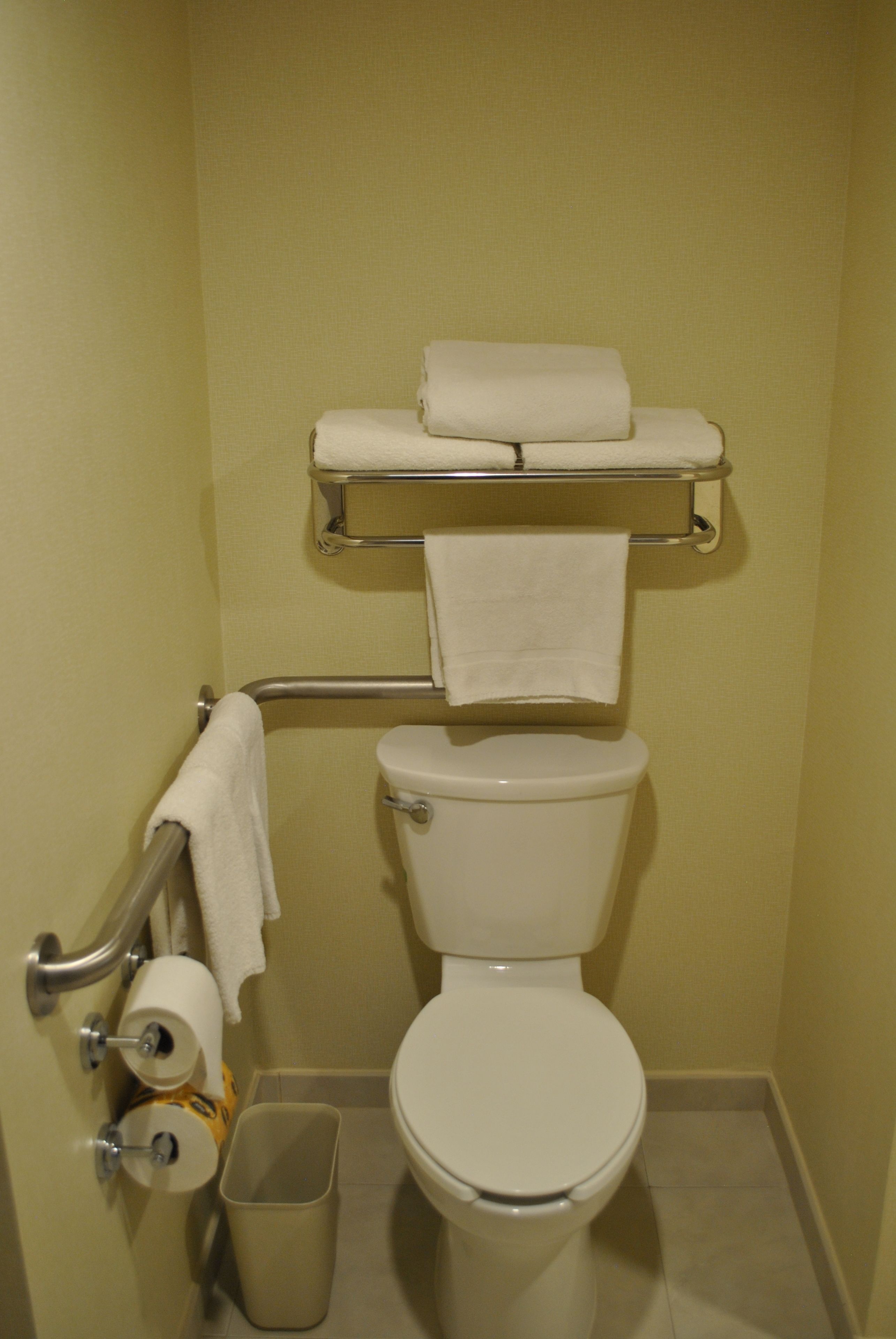 A bathroom with a toilet, a handrail, a towel rack, and a trash bin.