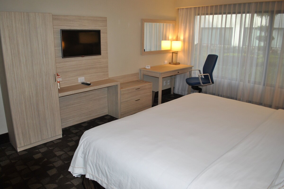 Standard Room, 1 King Bed | Desk, soundproofing, iron/ironing board, WiFi (free)