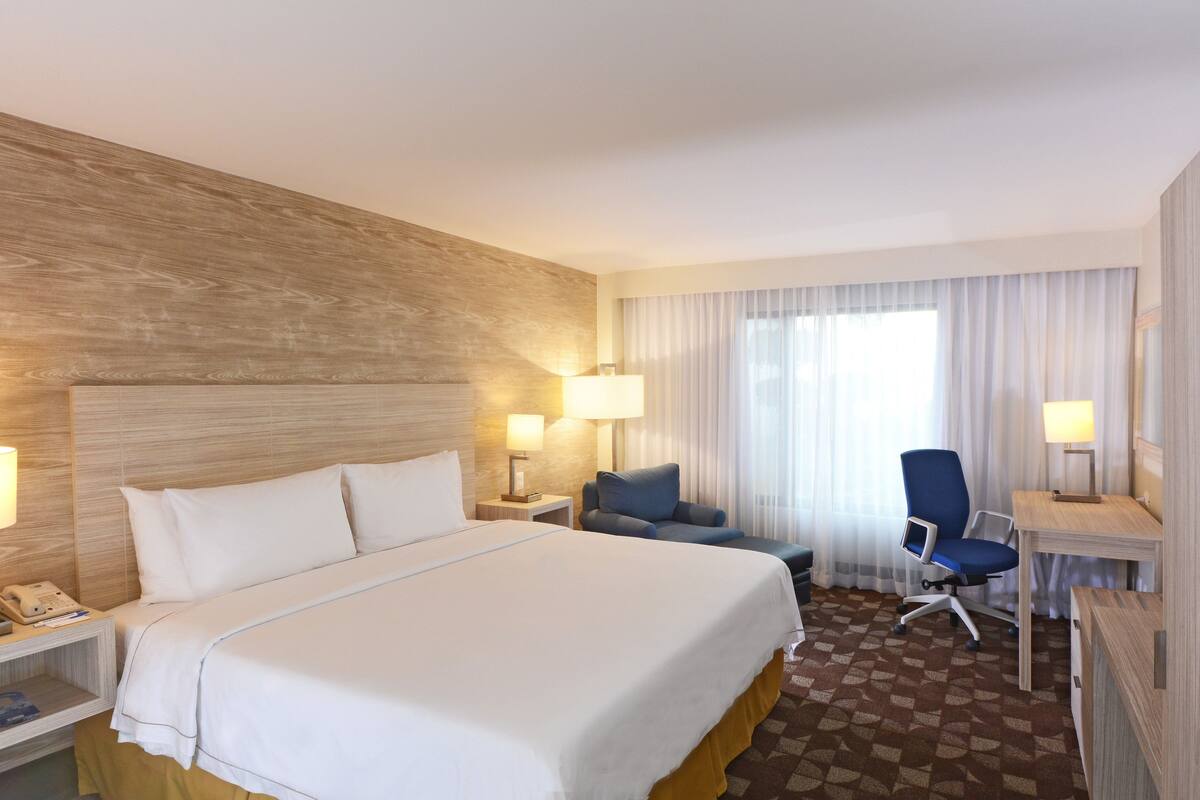 Standard Room, 1 King Bed | Desk, soundproofing, iron/ironing board, WiFi (free)