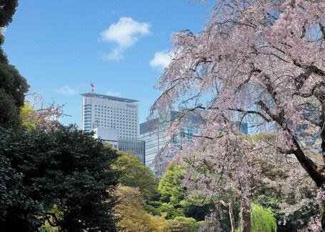 Century Southern Tower Hotel - Image 11