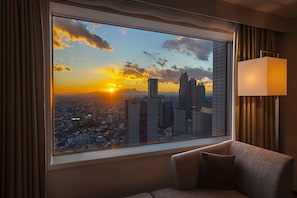 City view from property - Century Southern Tower Hotel (Tokyo)