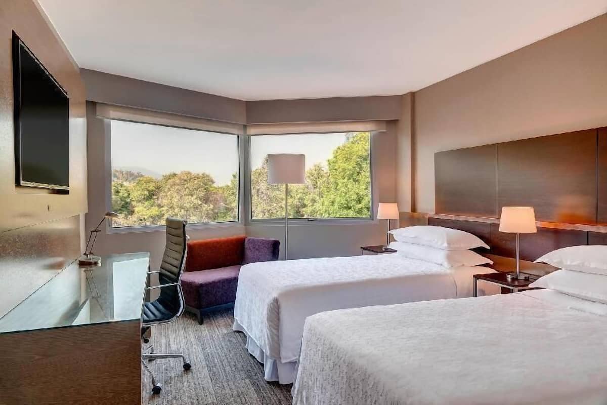 Hochwertige Bettwaren, Select-Comfort-Betten, Minibar, Zimmersafe