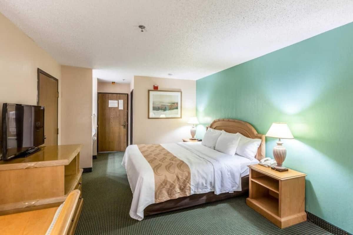 Une chambre d’hôtel avec un lit, des lampes de chevet, une télévision, un bureau et une porte.