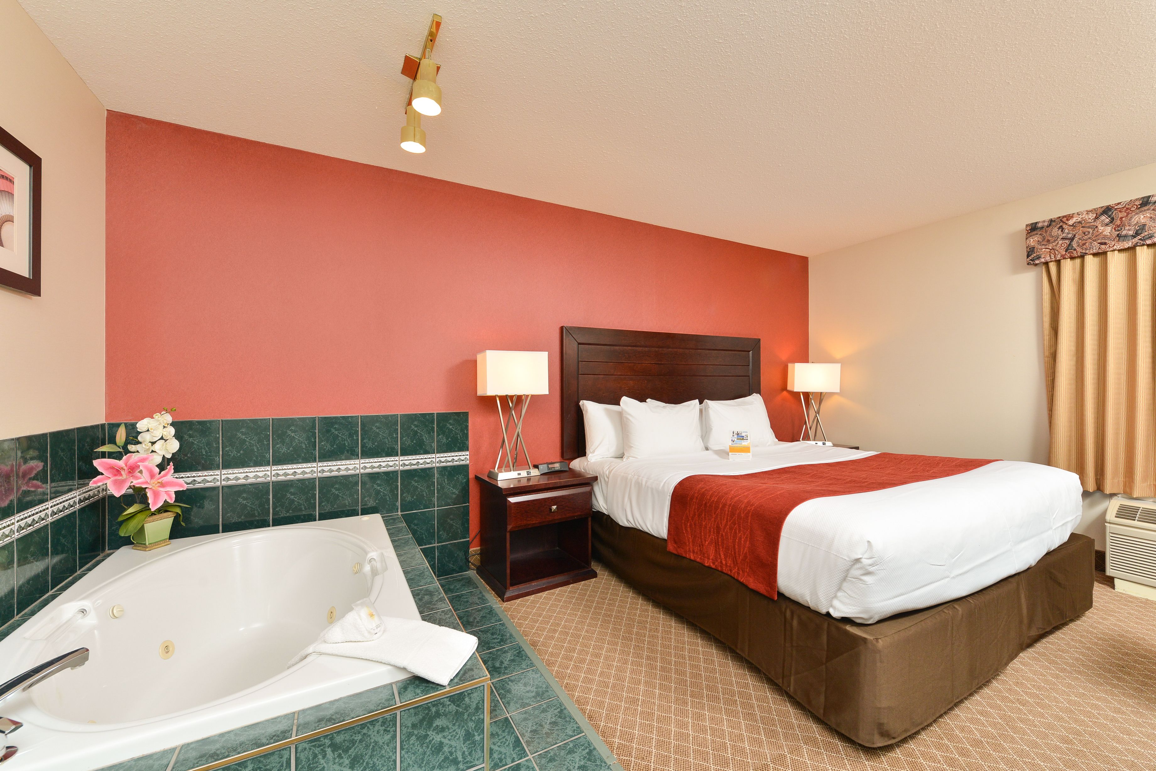 Foto - Comfort Inn & Suites Airport South