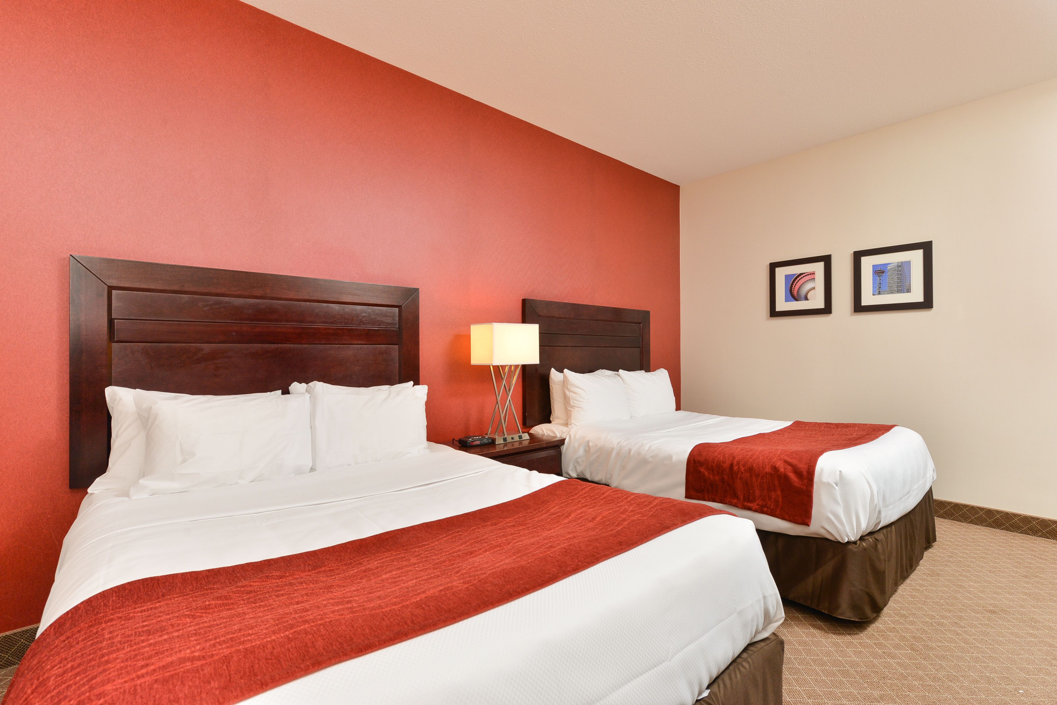 Foto - Comfort Inn & Suites Airport South