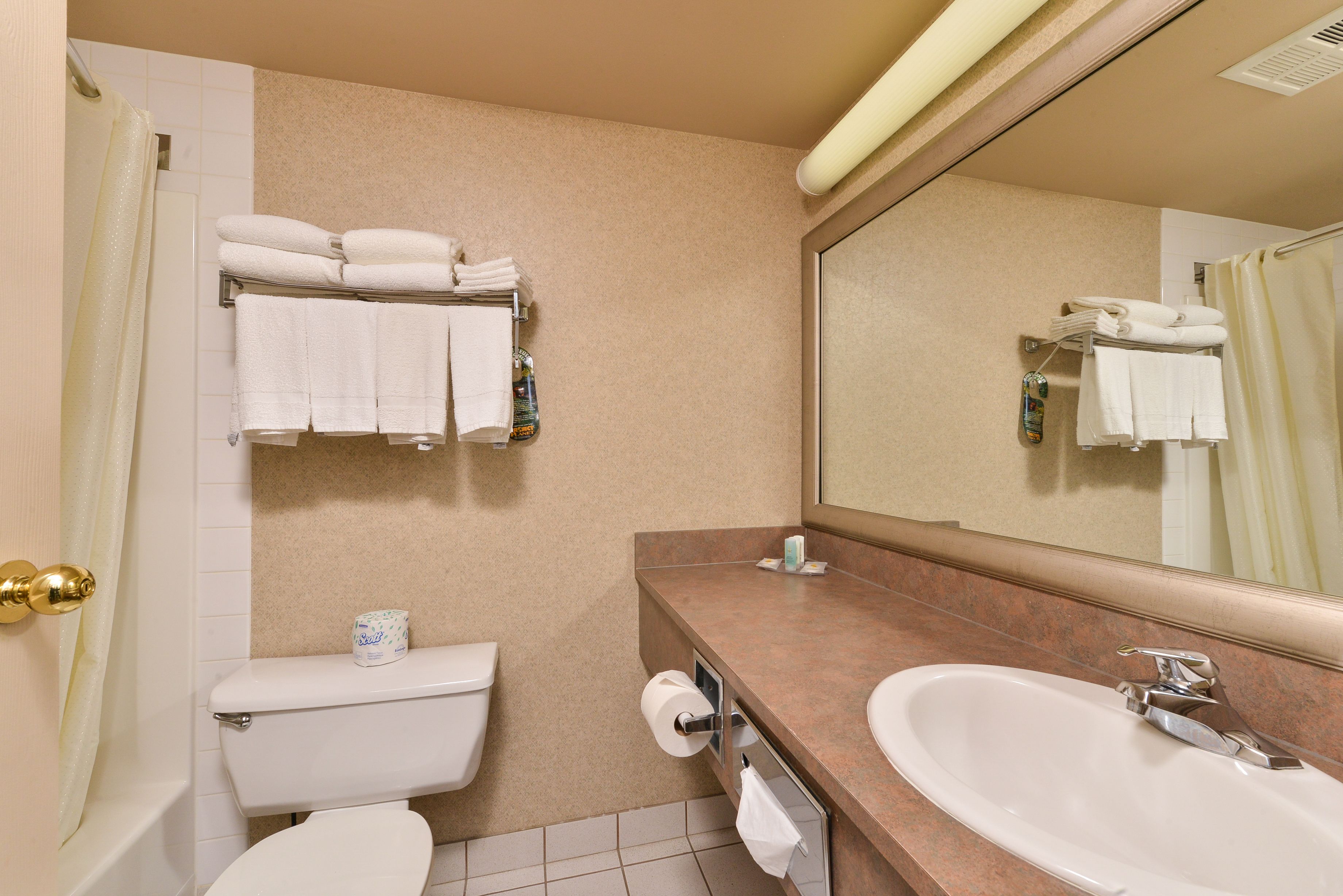 Photo - Comfort Inn & Suites Airport South
