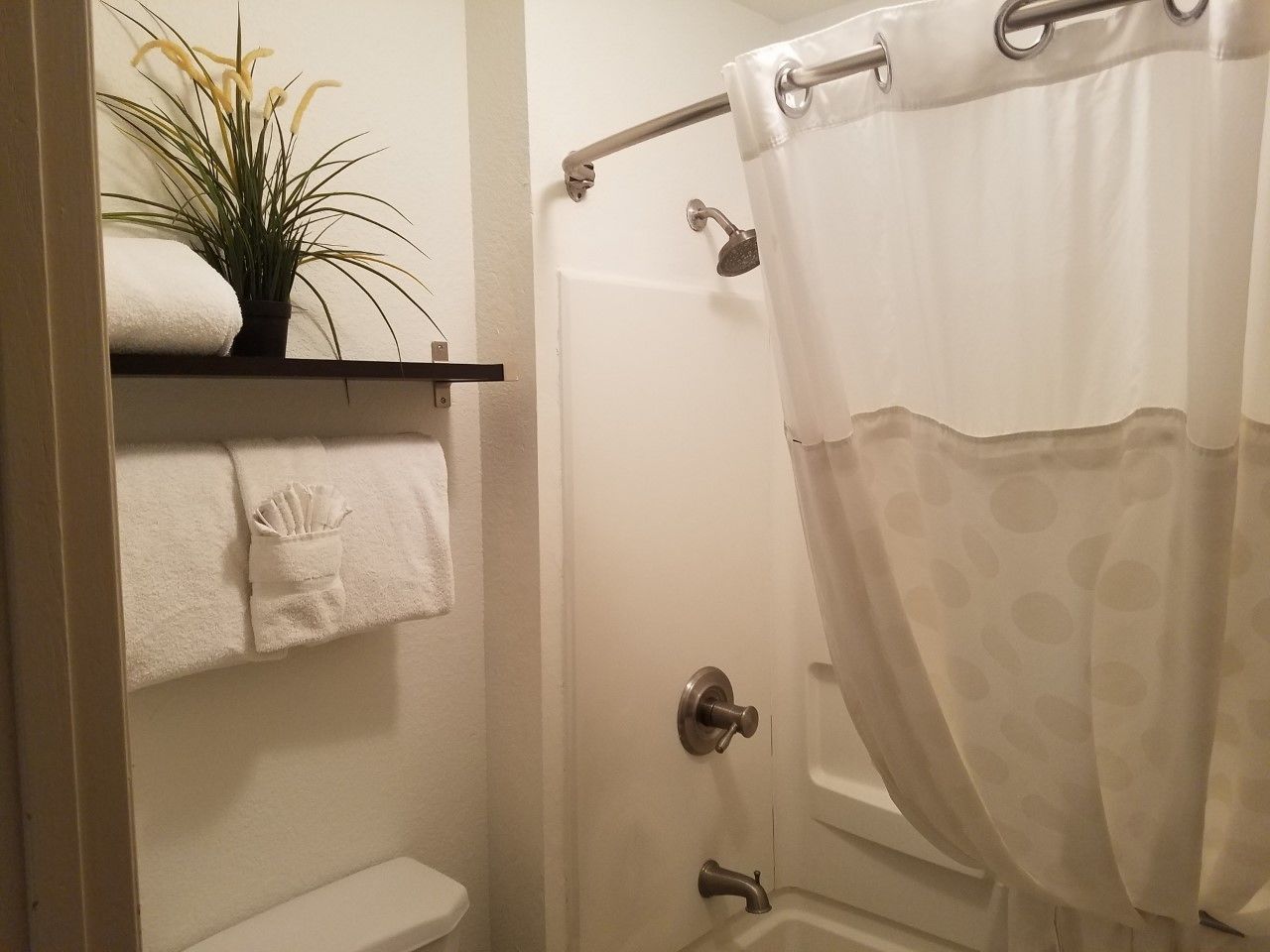 Um banheiro com vaso sanitário, porta-toalhas com toalhas, cortina de chuveiro e uma planta.