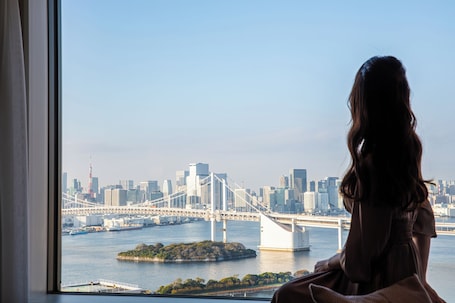 View from property. Grand Nikko Tokyo Daiba
