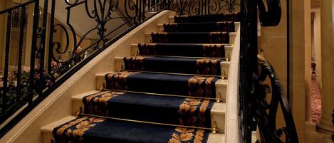 Una imponente escalera con barandales negros ornamentados y peldaños cubiertos de alfombra azul.