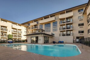 Outdoor pool, sun loungers