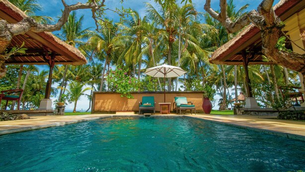 A pool with lounge chairs and umbrellas, surrounded by palm trees and a thatched-roof structure. - Puri Bagus Lovina (Buleleng)