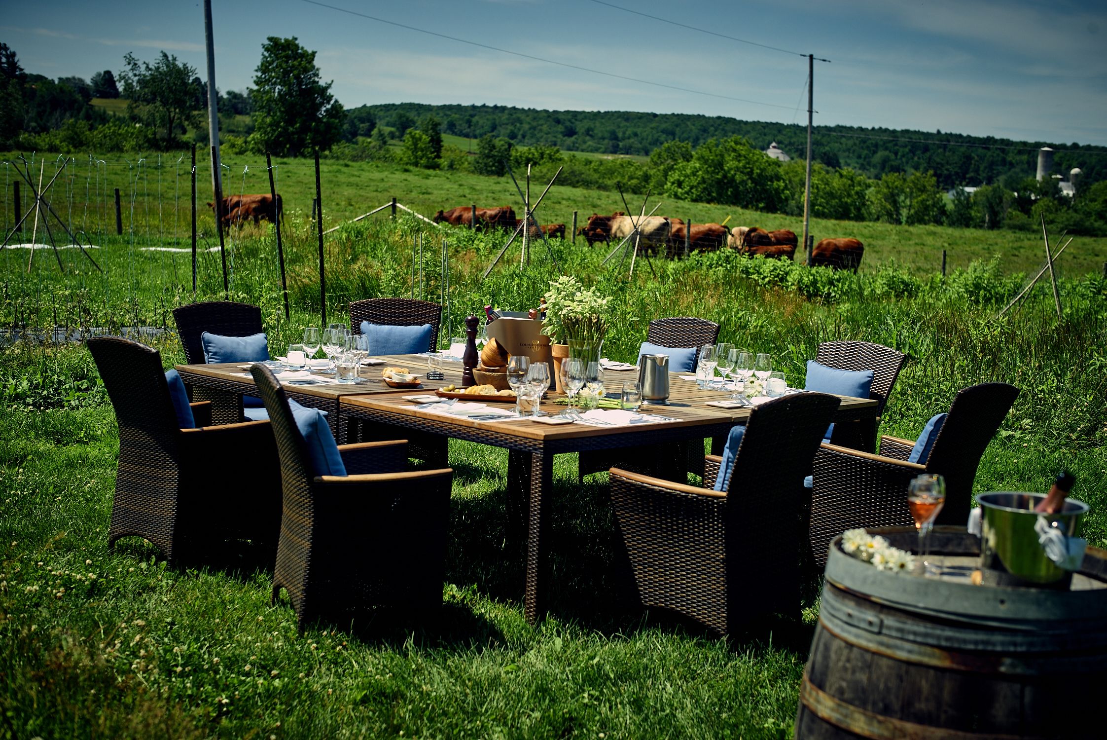 breakfast, lunch, dinner served; local cuisine