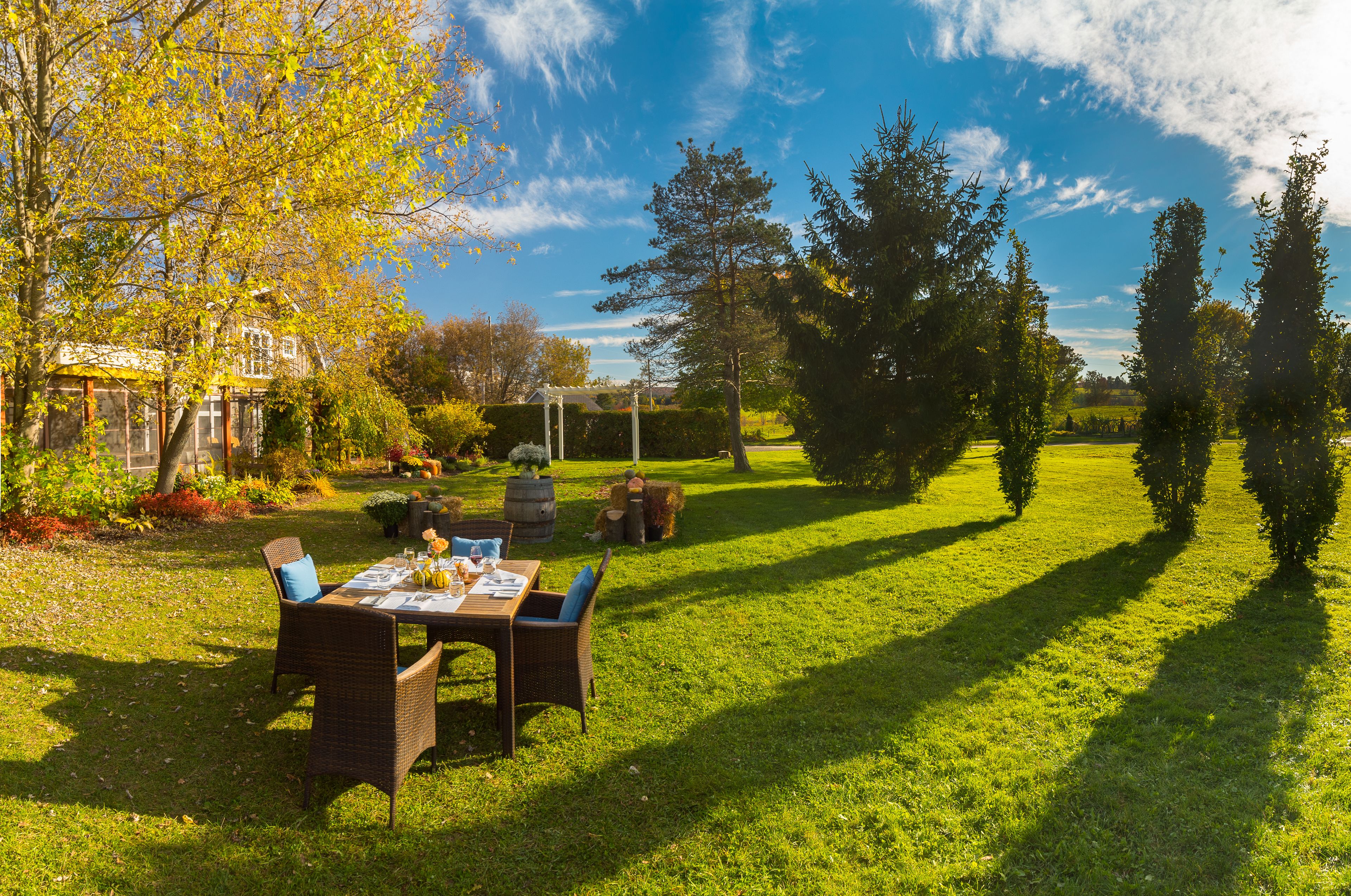 breakfast, lunch, dinner served; local cuisine