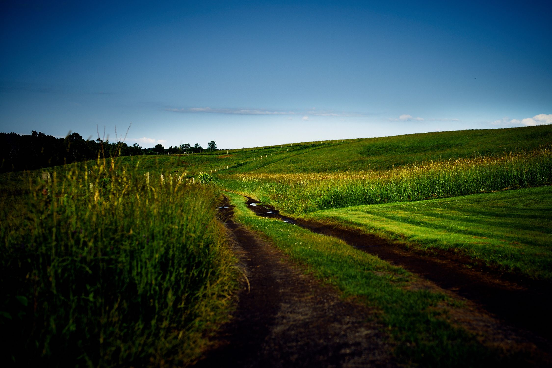 A rural landscape with a dirt path leading through fields.