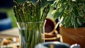 A glass containing asparagus with a blurred background of a table setting. - Auberge West Brome (Lac-Brome)
