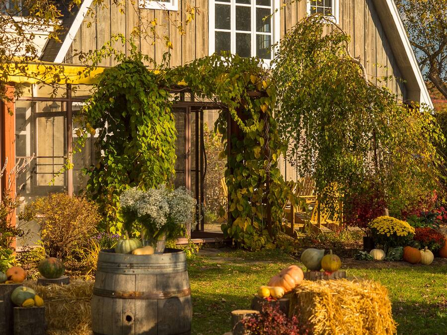 A rustic barn with a sloped roof, large windows, and a garden with various plants and pumpkins.