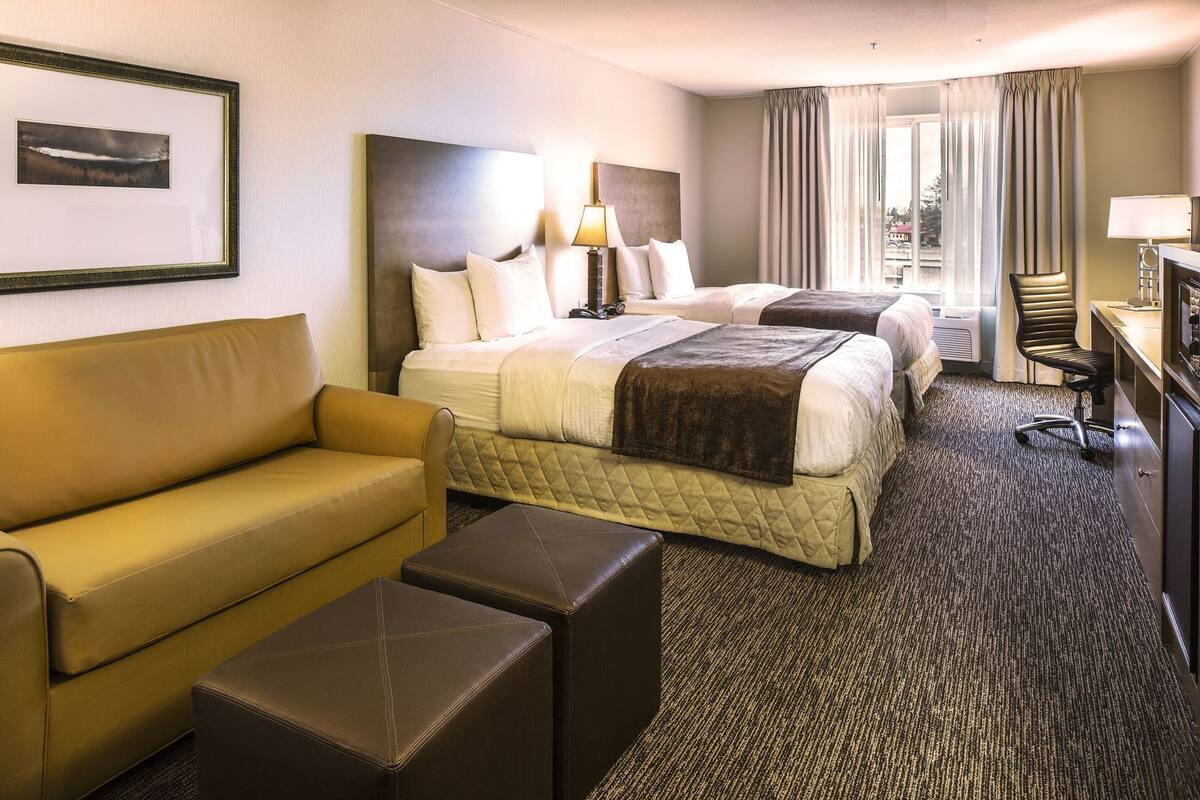 Habitación de hotel con cama, sofá, escritorio y una silla.