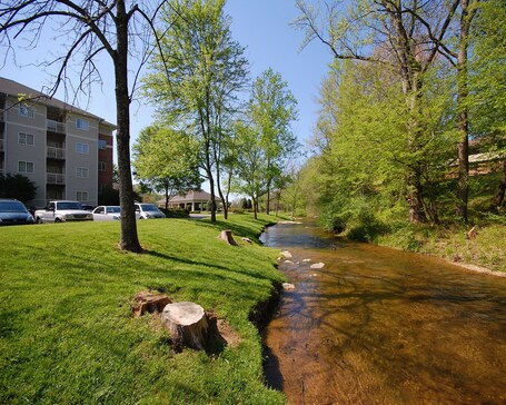 LeConte Hotel Convention Center, Ascend Hotel Collection - Image 14