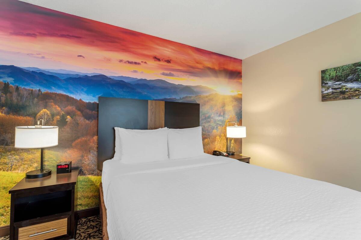 Suite, 1 Queen Bed, Accessible, Non Smoking | Desk, laptop workspace, blackout drapes, iron/ironing board