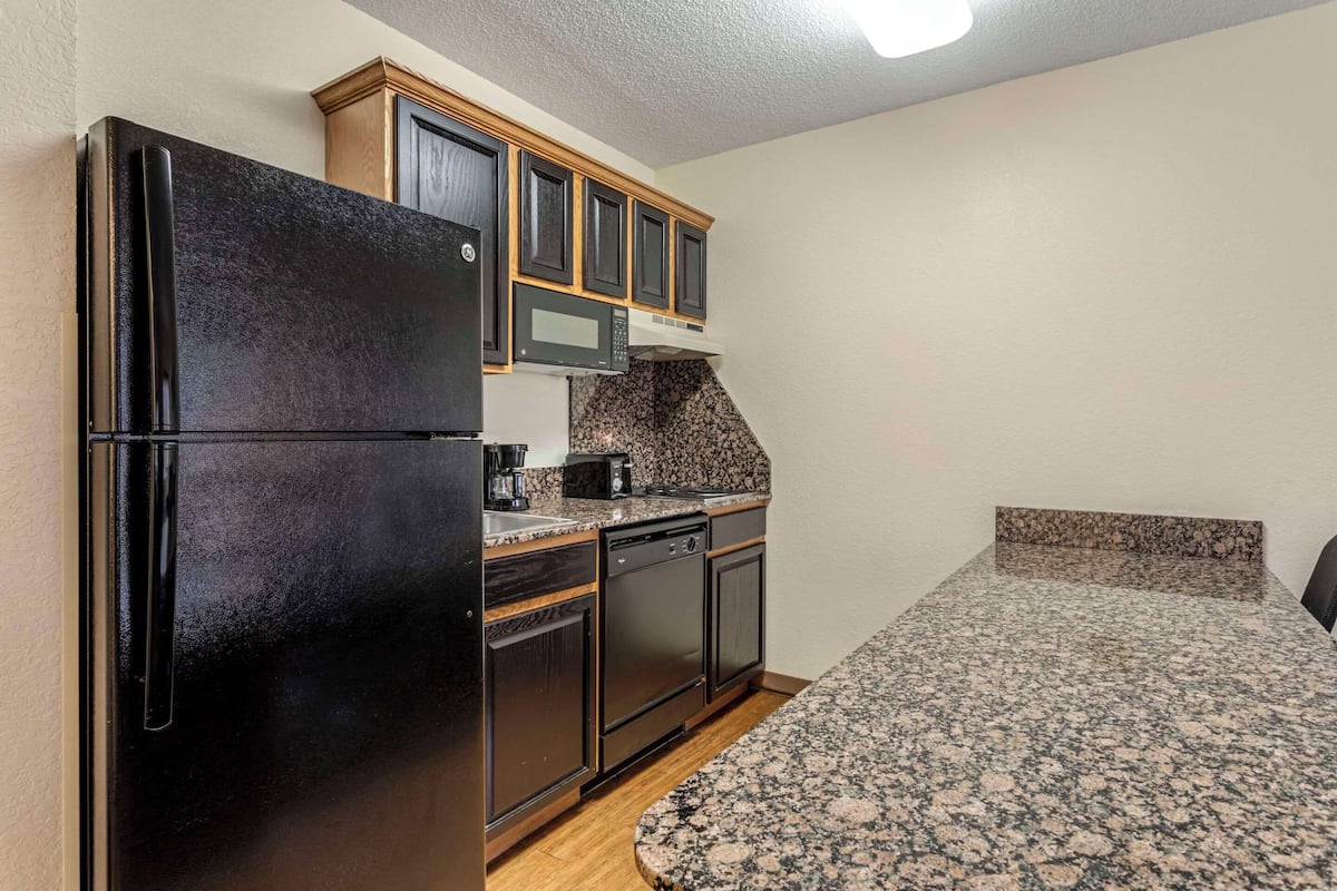 standard suite (2 queen beds with sofabed) | desk, laptop workspace, blackout curtains, iron/ironing board