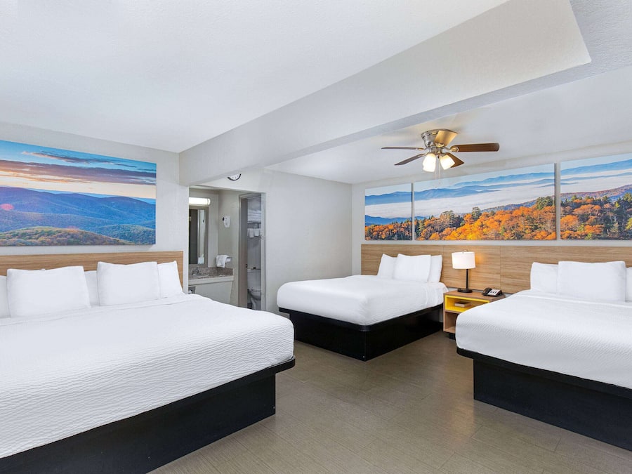 Escritorio, wifi gratis y ropa de cama