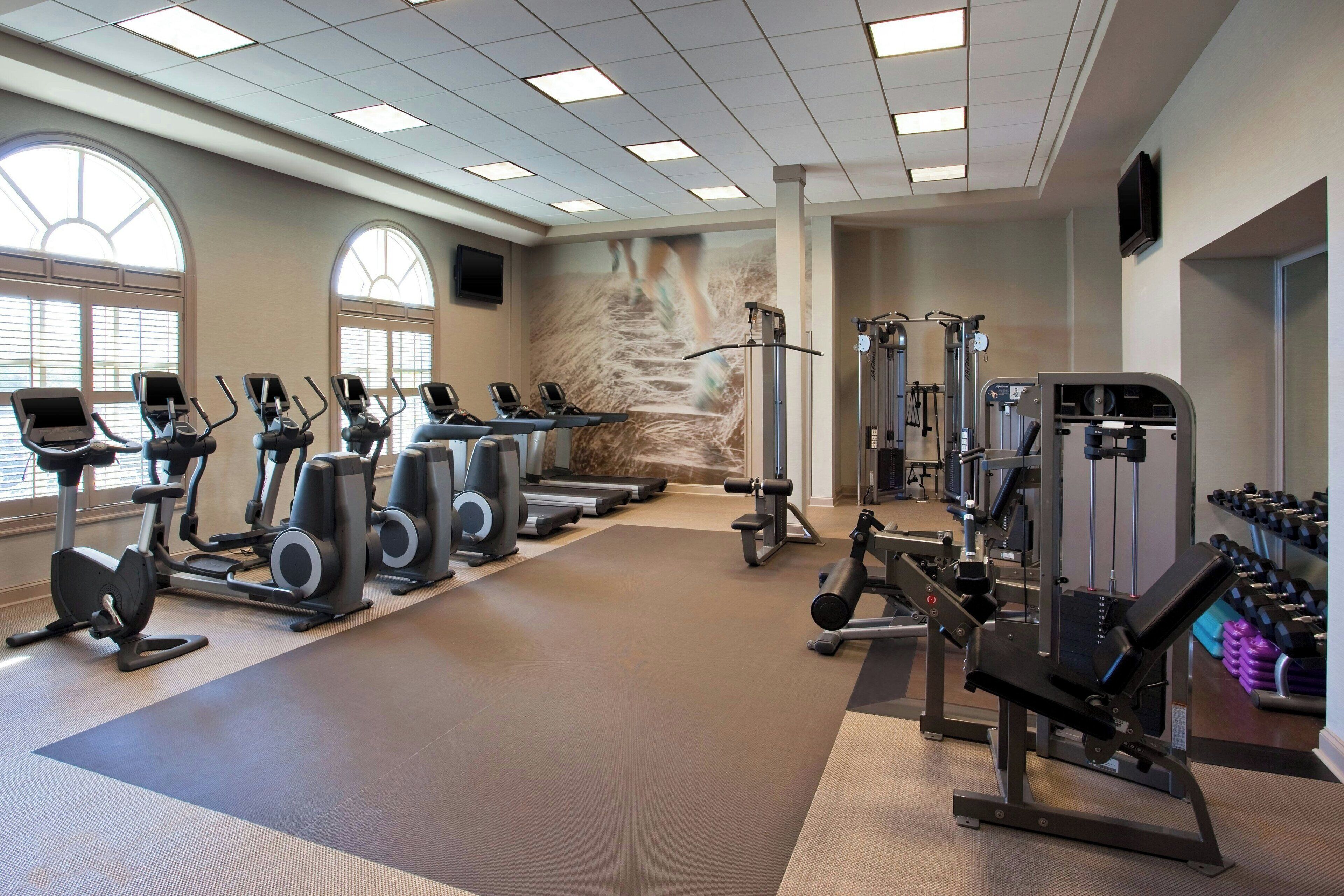 Ein Fitnessstudio mit Laufbändern, Crosstrainern, Kraftgeräten und Kurzhanteln.