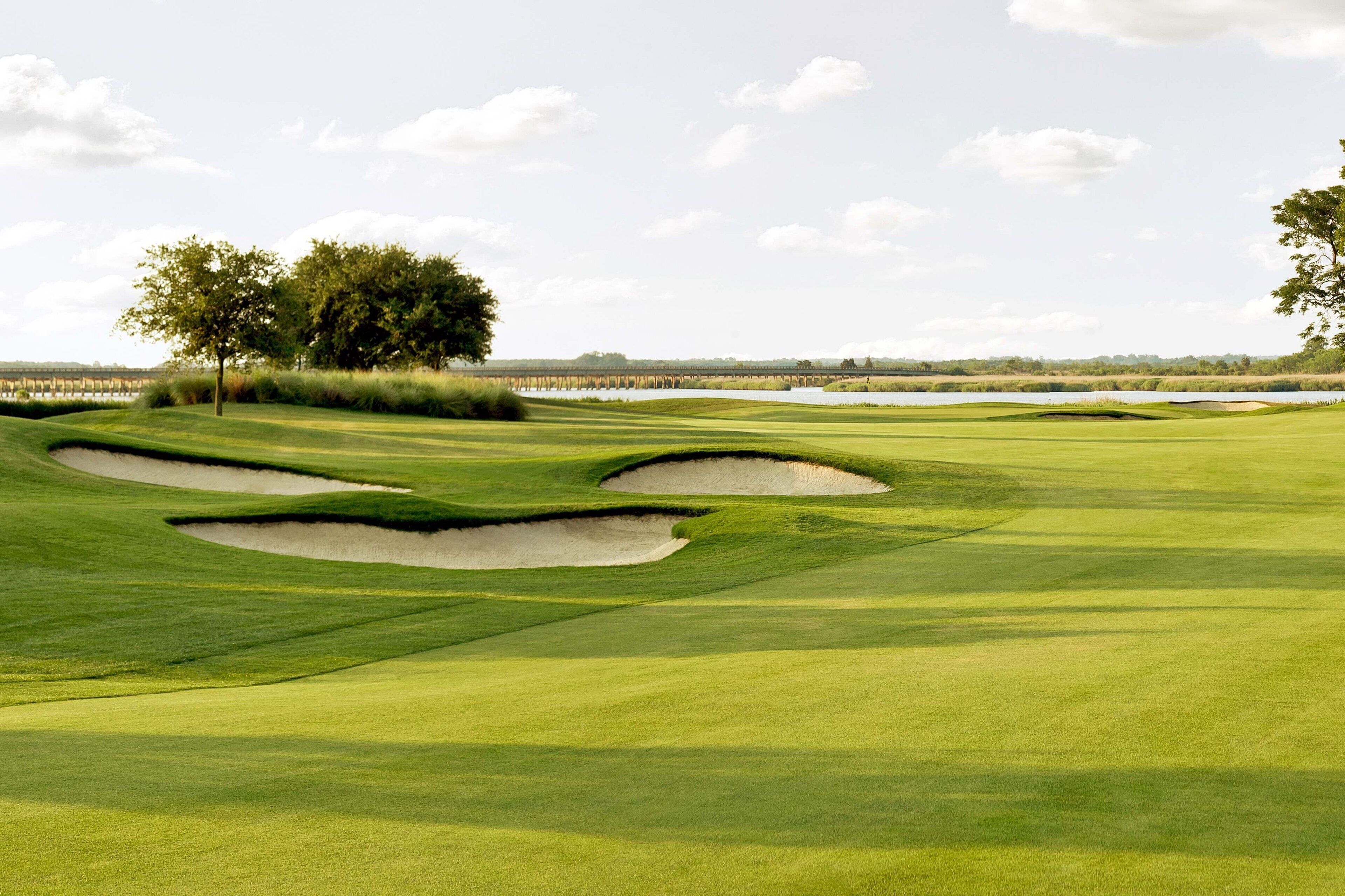 A golf course with bunkers and a tree.