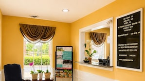 Un área de recepción con una silla, una planta, un tablón de anuncios y una ventana con cortinas.