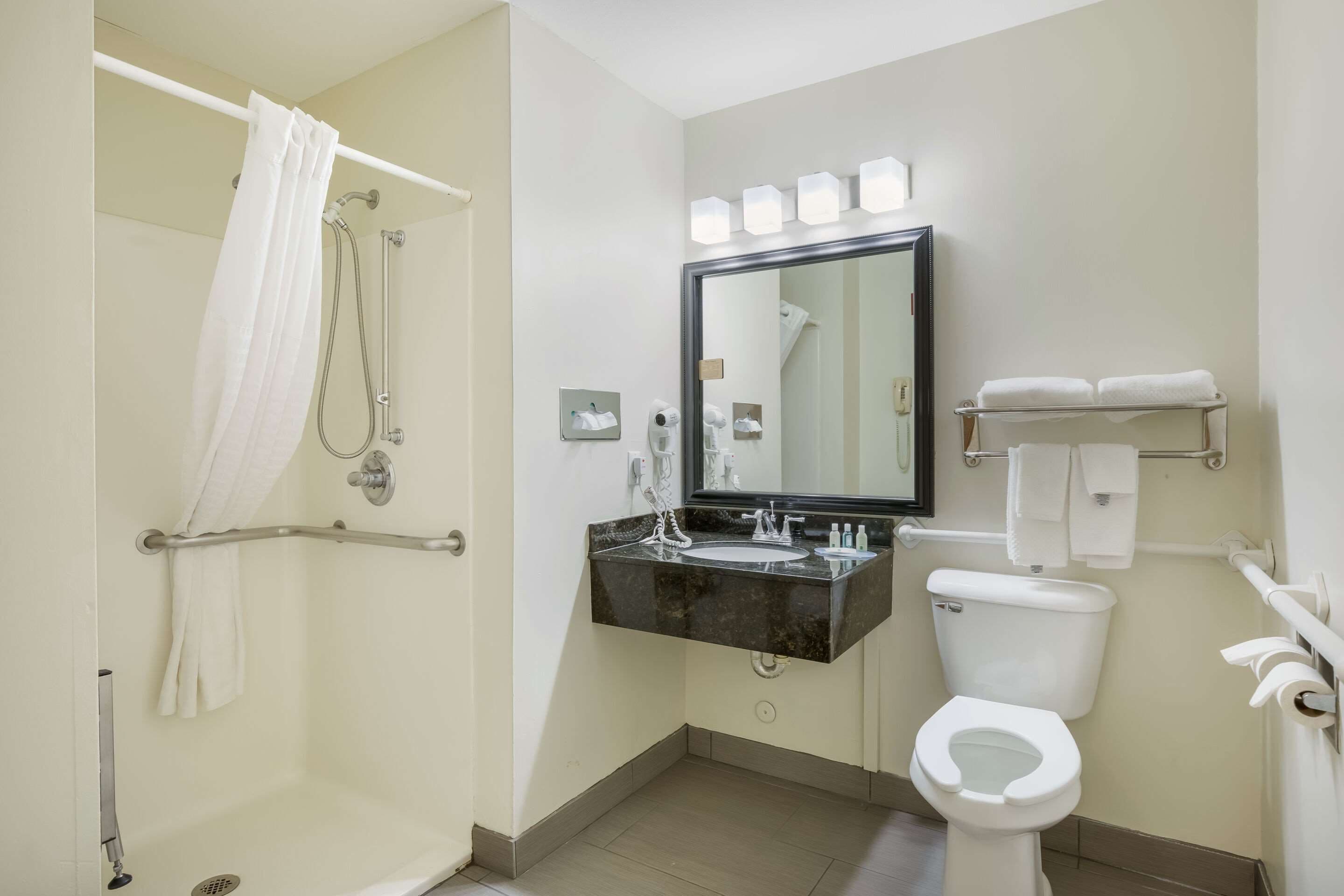 room, 1 queen bed, accessible, non smoking | bathroom | free toiletries, hair dryer, towels