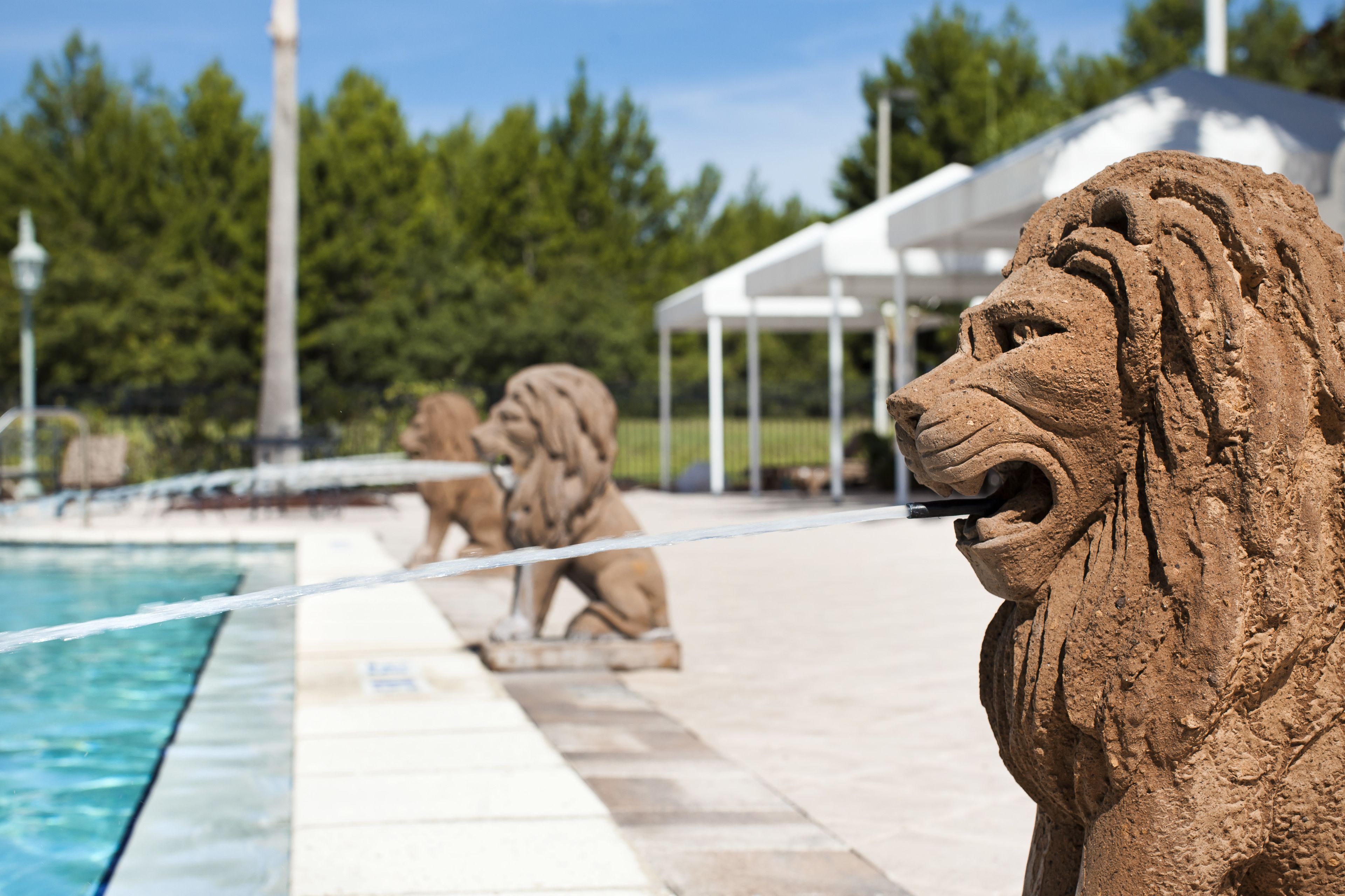 Foto - Monumental Hotel Orlando