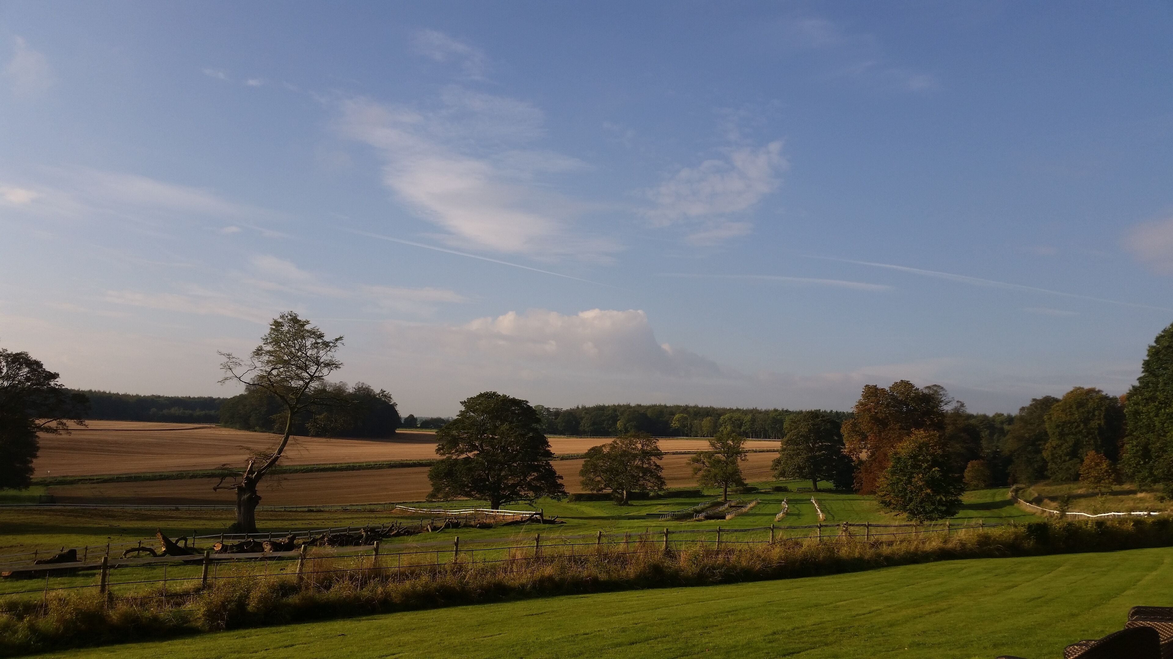 A rural landscape with open fields, trees, and a clear sky.