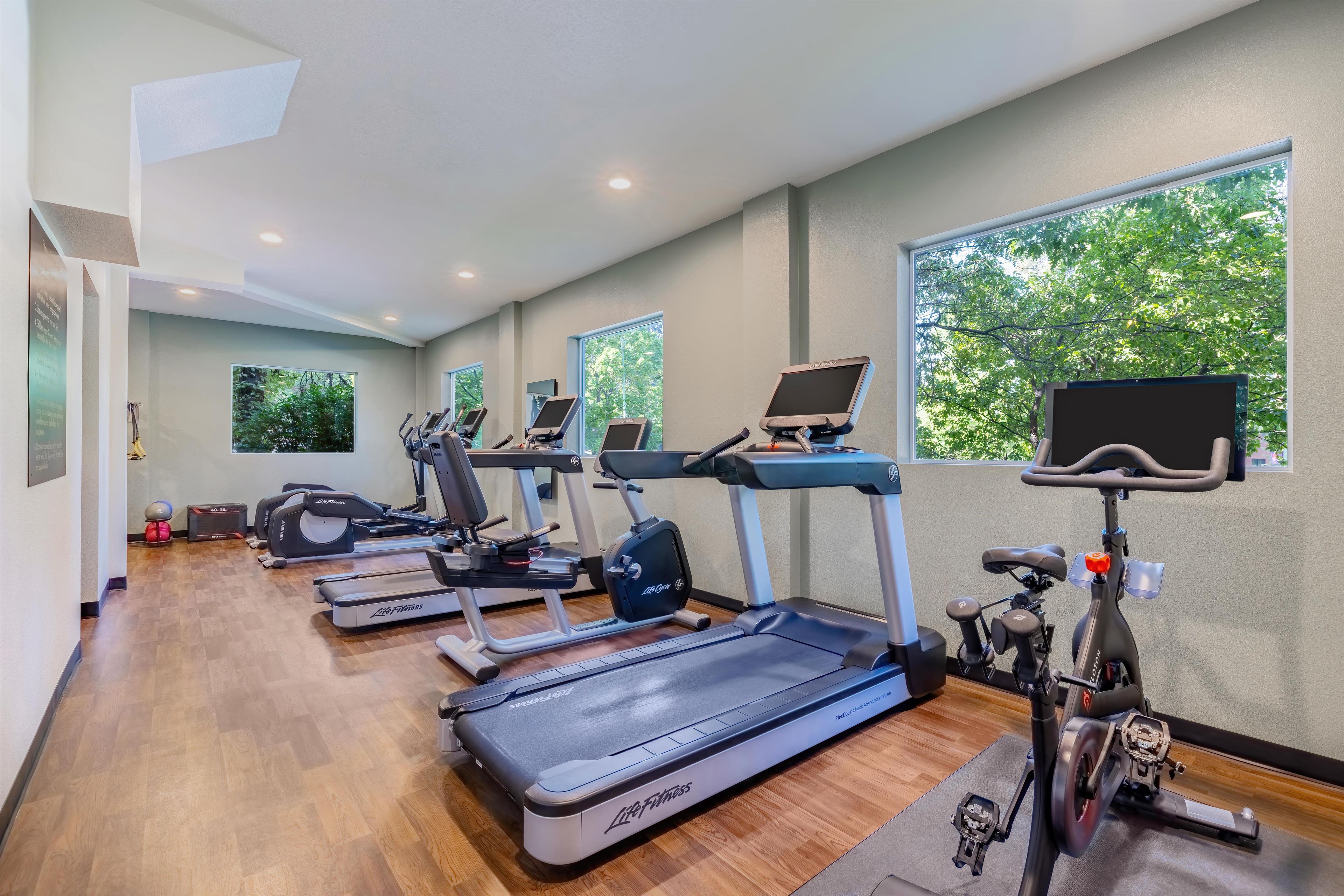 Un gimnasio con varias máquinas de cardio, incluyendo cintas de correr y elípticas, con grandes ventanales que ofrecen luz natural y vistas a zonas verdes.