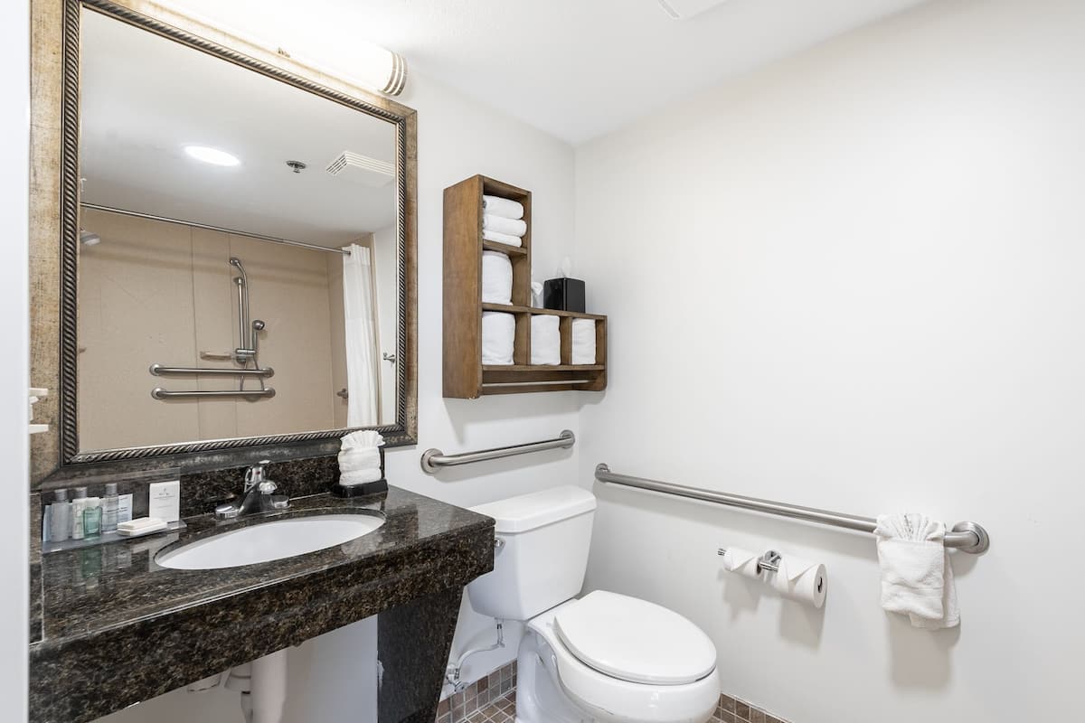 free toiletries, hair dryer, towels