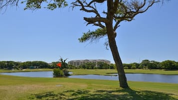 Surrounded by a serene landscape, this property offers a tranquil retreat with a tree-lined outdoor area and a calm body of water.