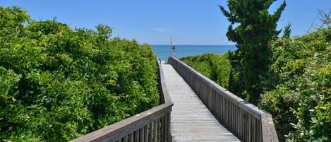 A wooden boardwalk leading to a viewpoint with dense greenery on both sides.