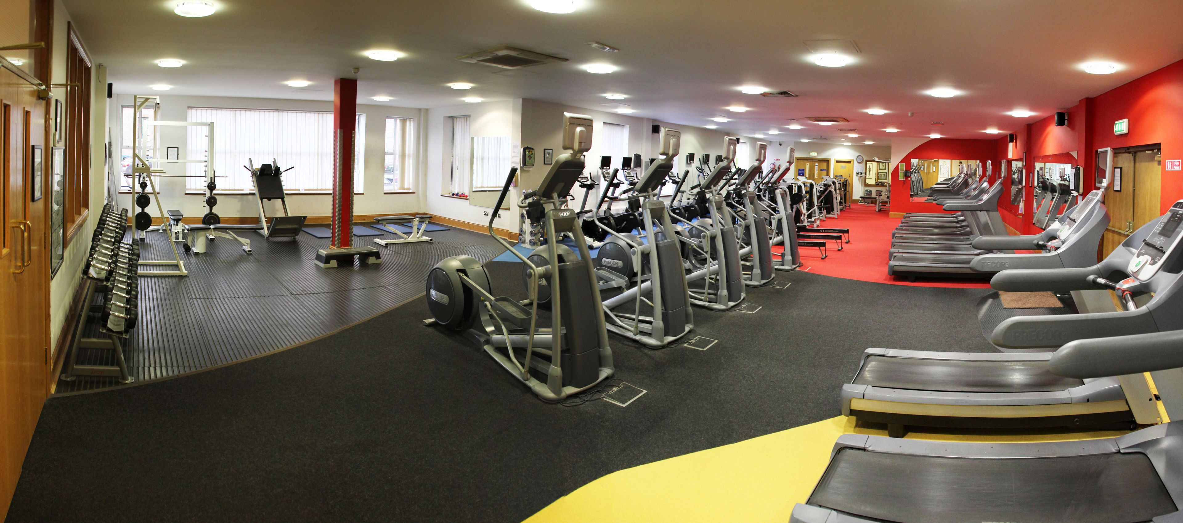 A gym with treadmills, elliptical machines, and weight machines.