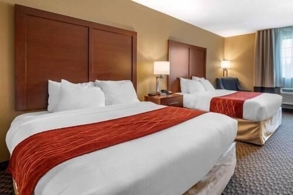 A hotel room with two beds, a nightstand, a lamp, and a view of the outdoors.