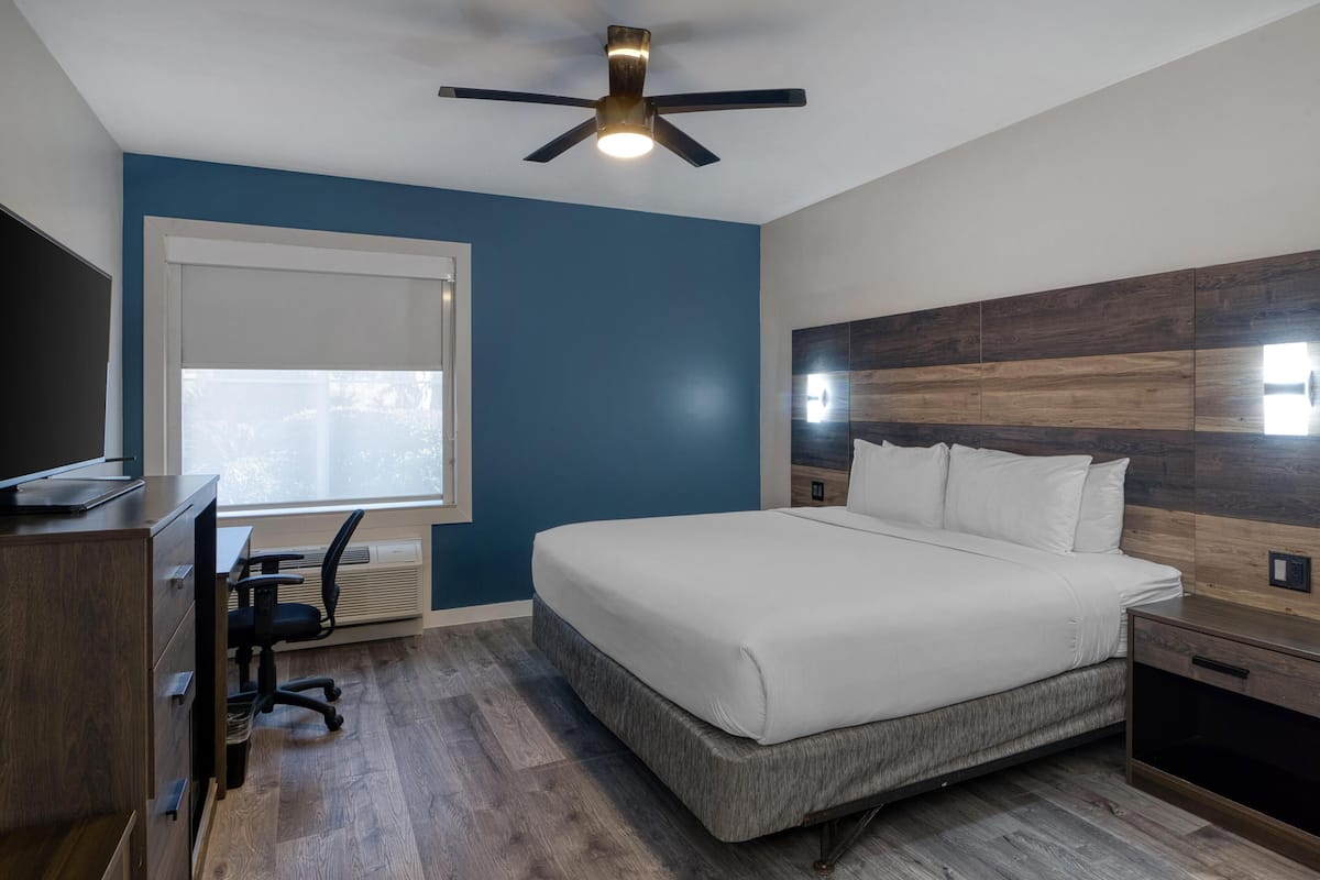 A bedroom with a bed, desk, chair, and a ceiling fan.