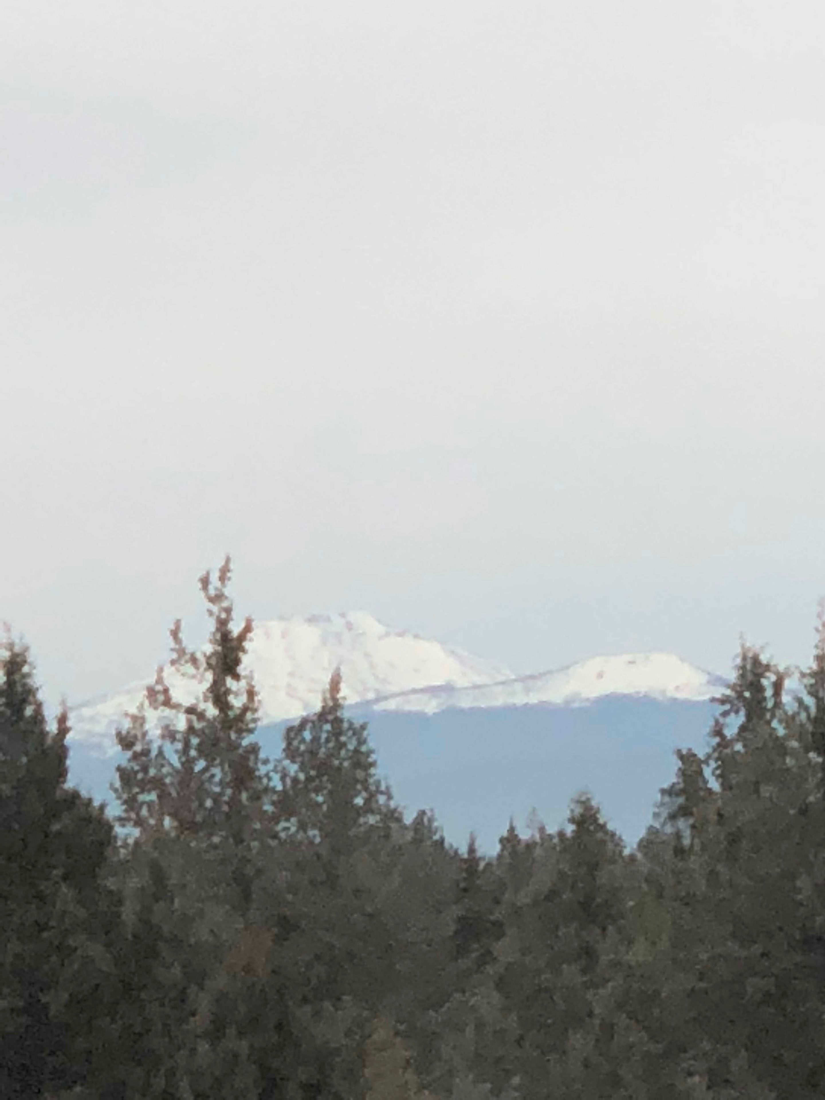 A mountain range with snow-capped peaks and a forested foreground.