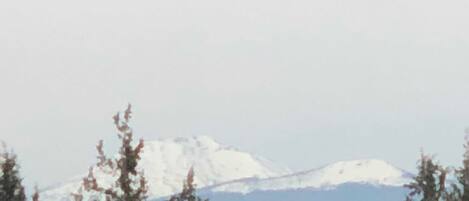 A mountain range with snow-capped peaks and a forested foreground.