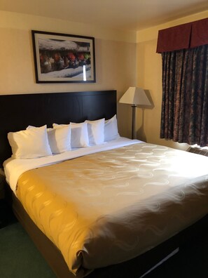 Standard Room, 1 King Bed, Non Smoking | Desk, laptop workspace, blackout drapes, iron/ironing board - Quality Inn Bend North (Bend)