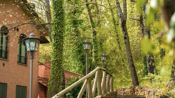 A stone staircase with a wooden handrail leading up to a brick building with green shutters and a lantern post. - Carpediem Assisi Living Club (Assisi)