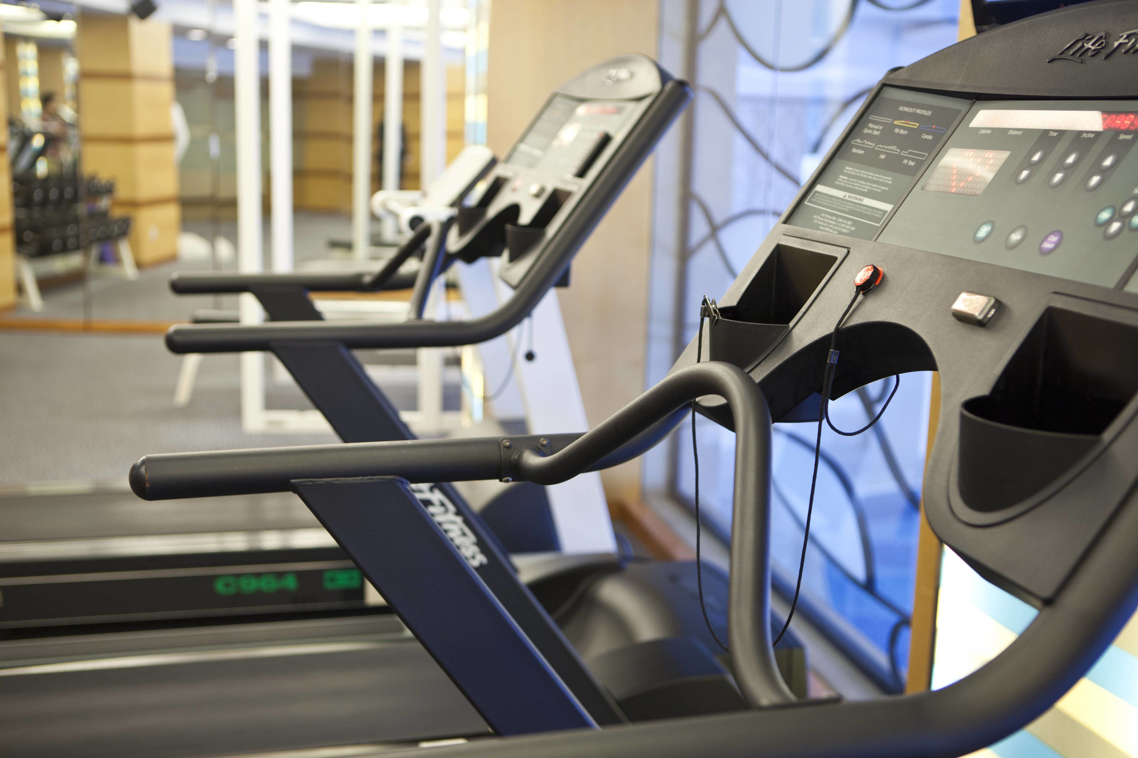 Gimnasio